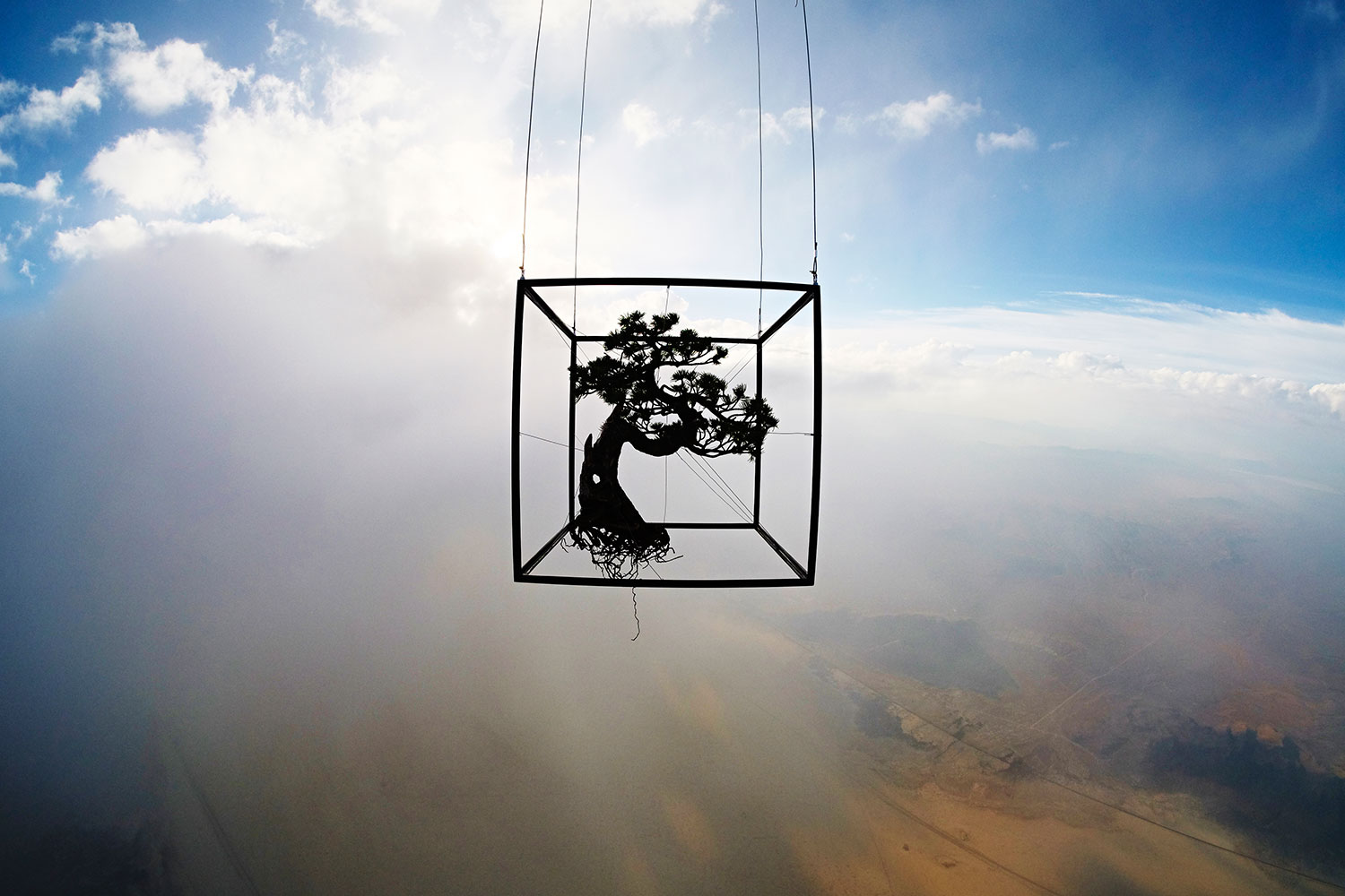 Exobotanica - vuelo espacial botánico