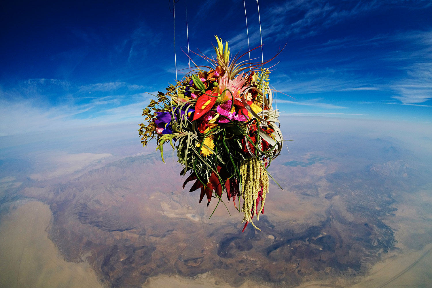 Exobotanica - vuelo espacial botánico