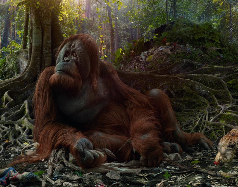 Reino de animales apocalípticos Simen Johan: