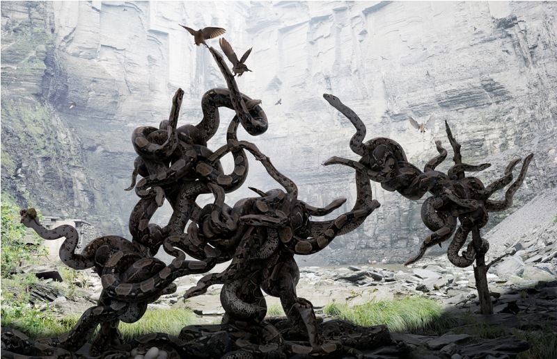 Reino de animales apocalípticos Simen Johan: