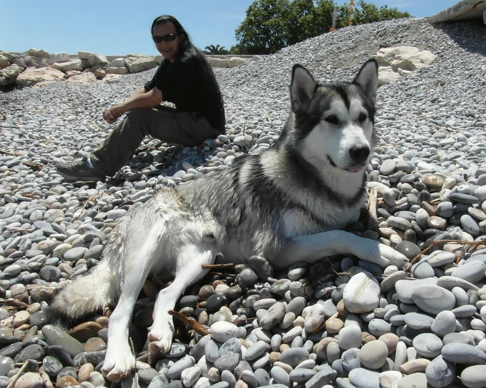 Hermosos regalos creados por el artista ciego George Redhavk 13