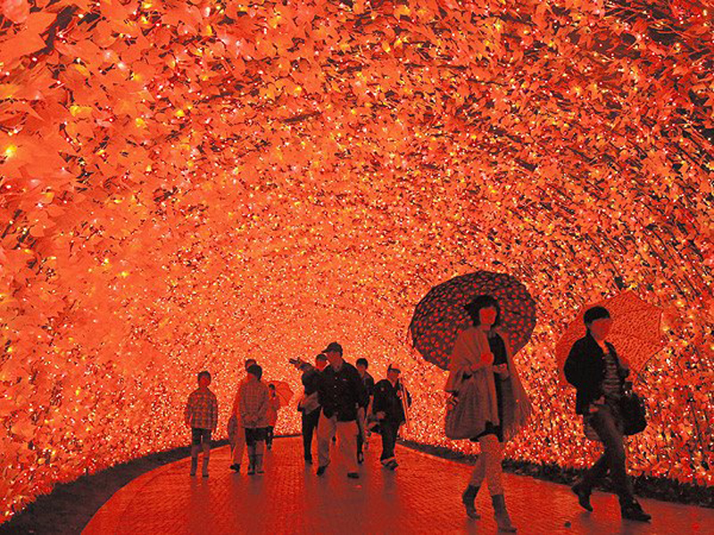 Luces túnel brillante - impresionante iluminación de invierno 5