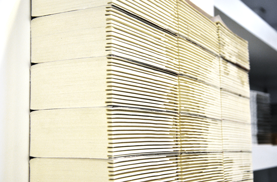 Mark Zuckerberg - Retrato de Facebook 3: