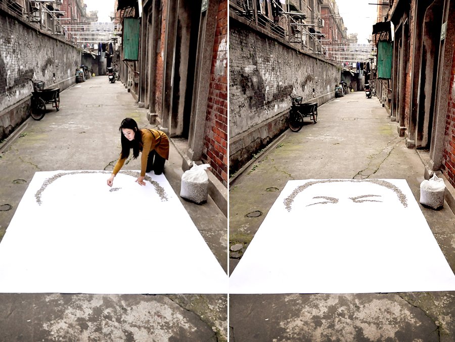 Retrato de semillas de girasol 2: