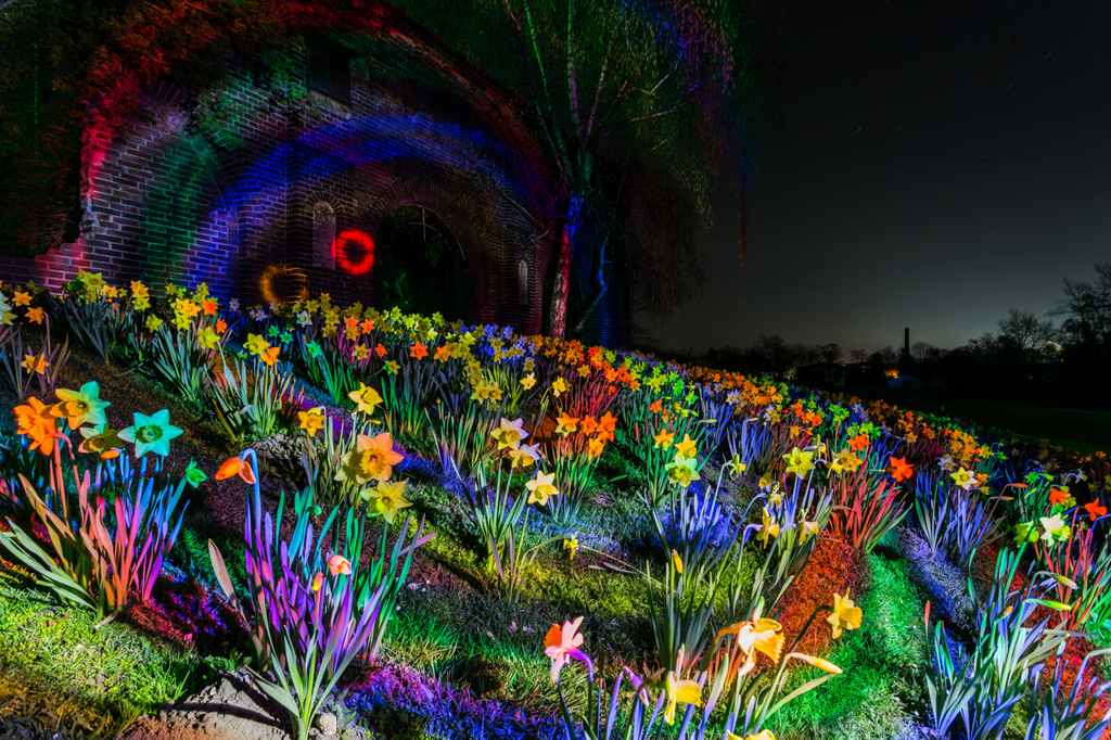 El uso final del énfasis de la luz de Zolak en 9 de su fotografía de fantasía
