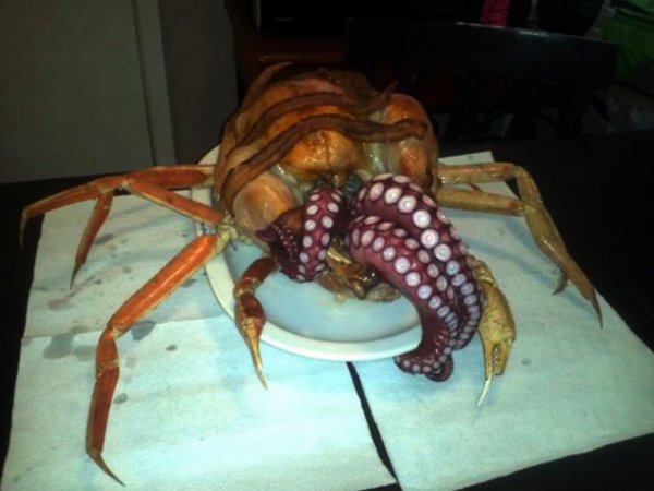 Alimento-porn-sad-maal (15)