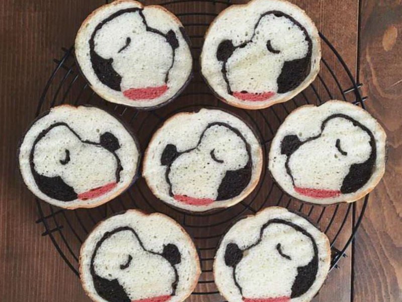 Japonés-instagram-cuenta-behind -02