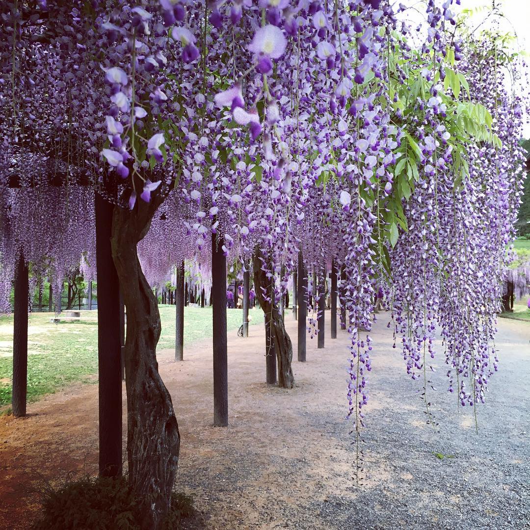 Japanese-Instagram-Accounts-Conclusion -31