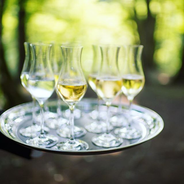 Japonés-instagram-accounts-Conclusion -33