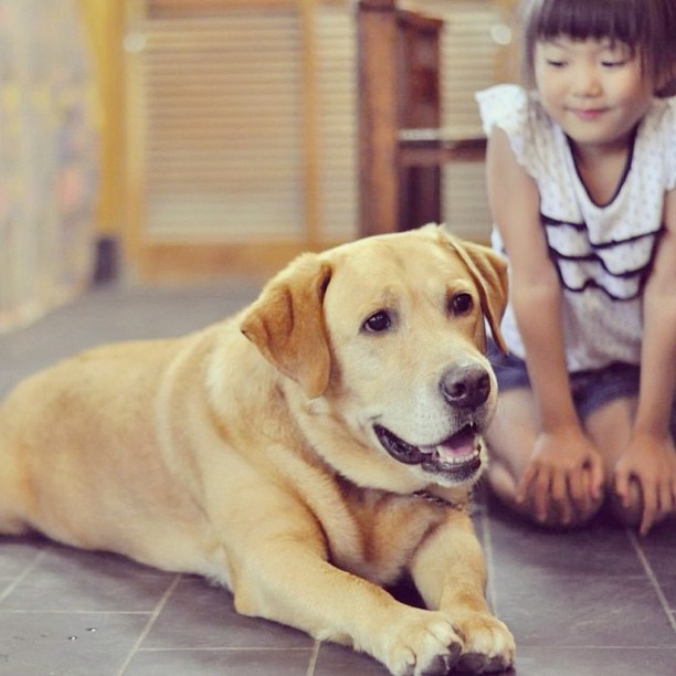 Japanese-Instagram-Accounts-Conclusion -48