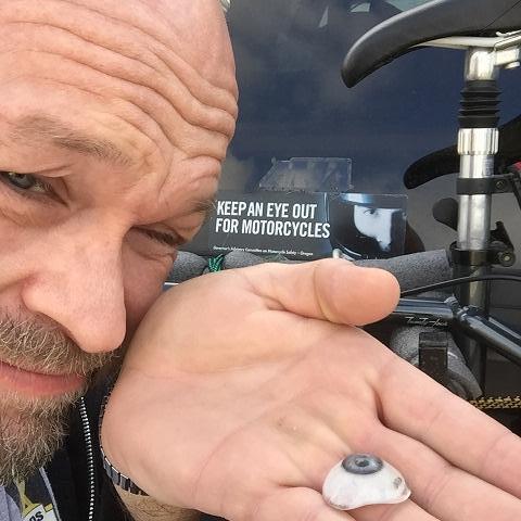 personas que han tomado letreros demasiado literalmente 14