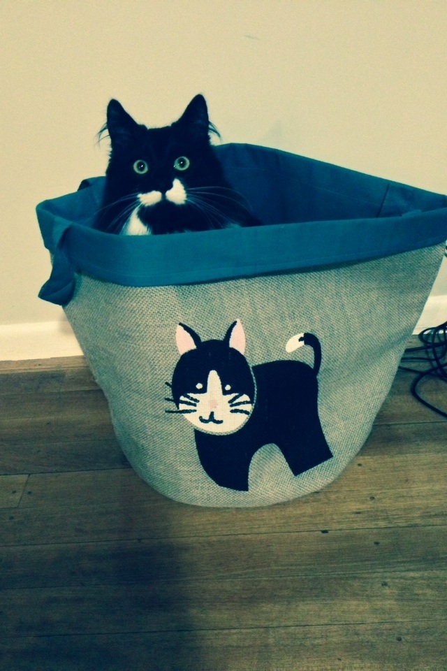 Personas que han tomado letreros demasiado literalmente 20