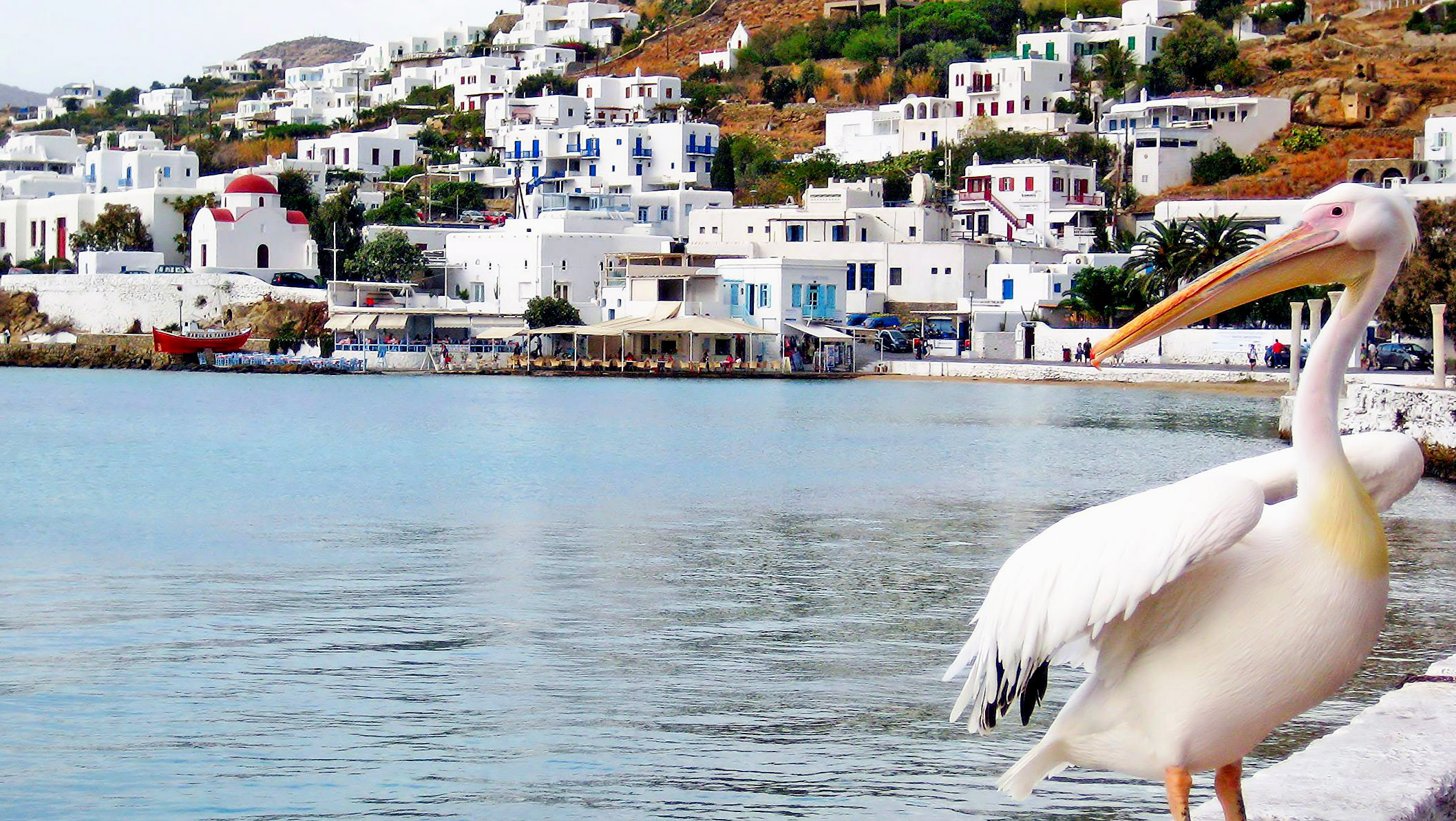 Small Cities-World-World-Fence -29