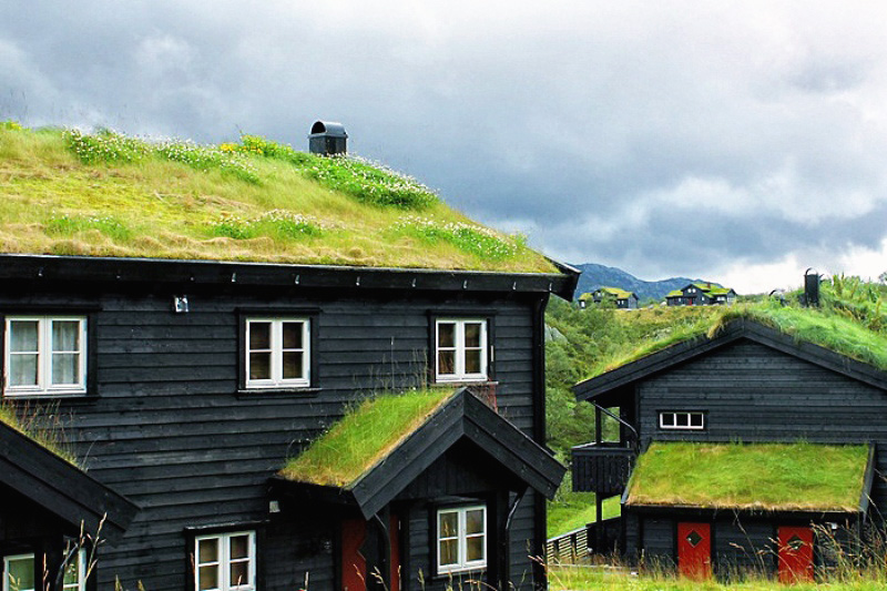 Small Cities-World-World-Fence-44