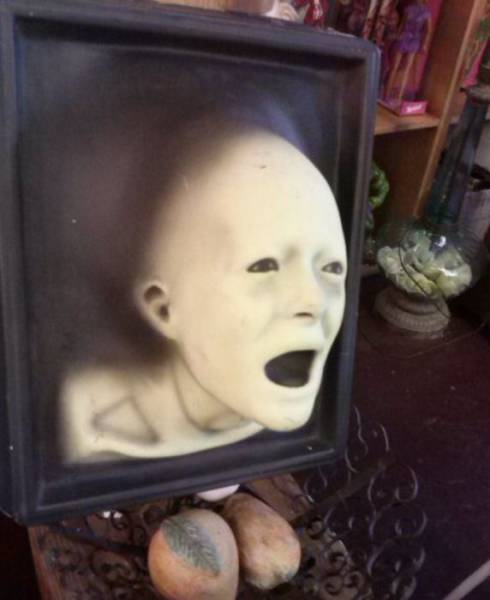 Puntos de tiendas extraños-extralvagantes -33