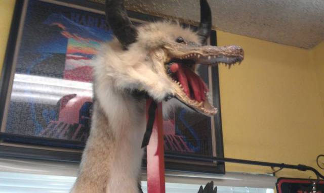 Punto de tienda extravagante-4