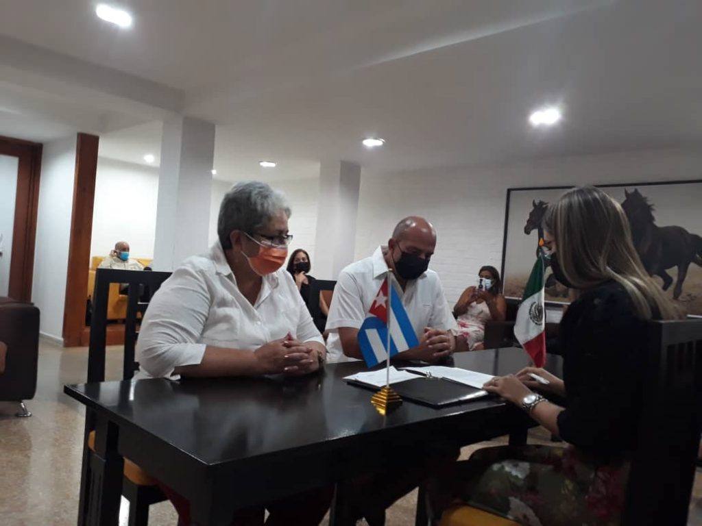 producción porcina