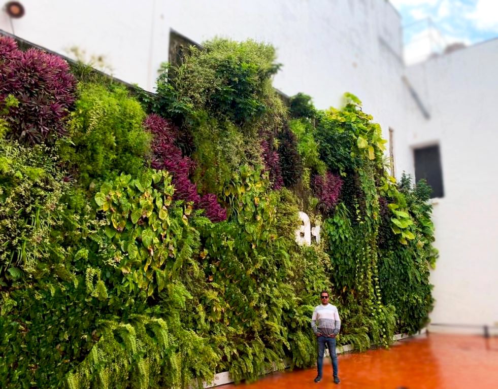 jardín colgante La Habana 2