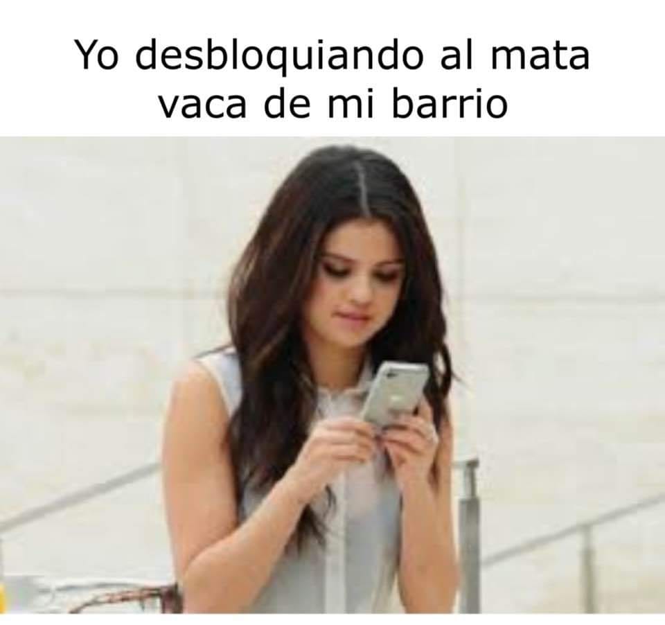 Memes vacas en Cuba
