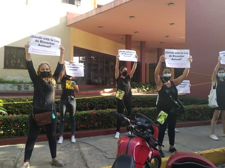 Animalistas Ministerio de Agricultura