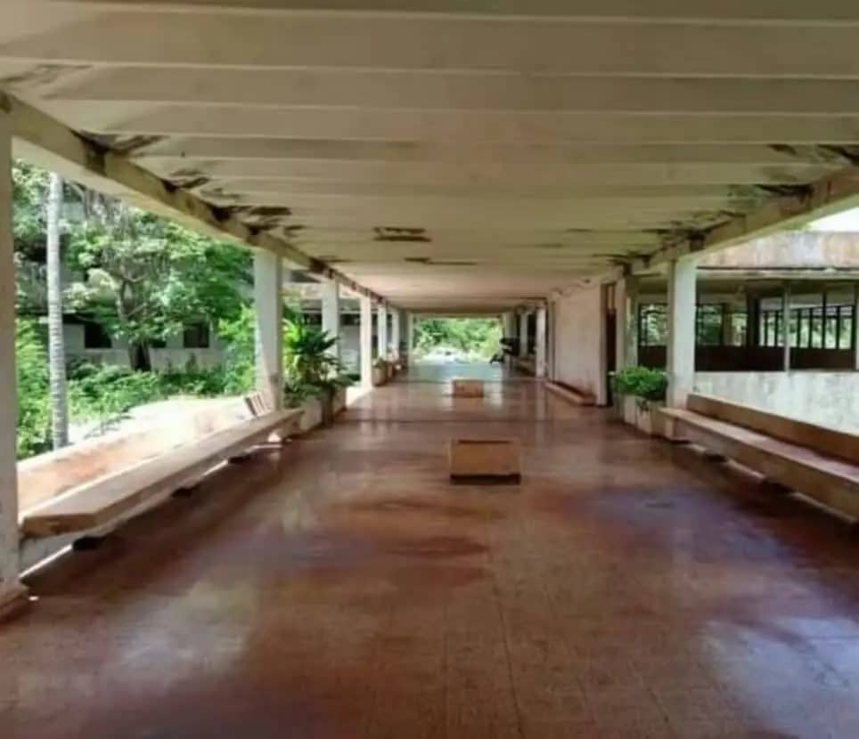 preuniversitarios en el campo abandonados