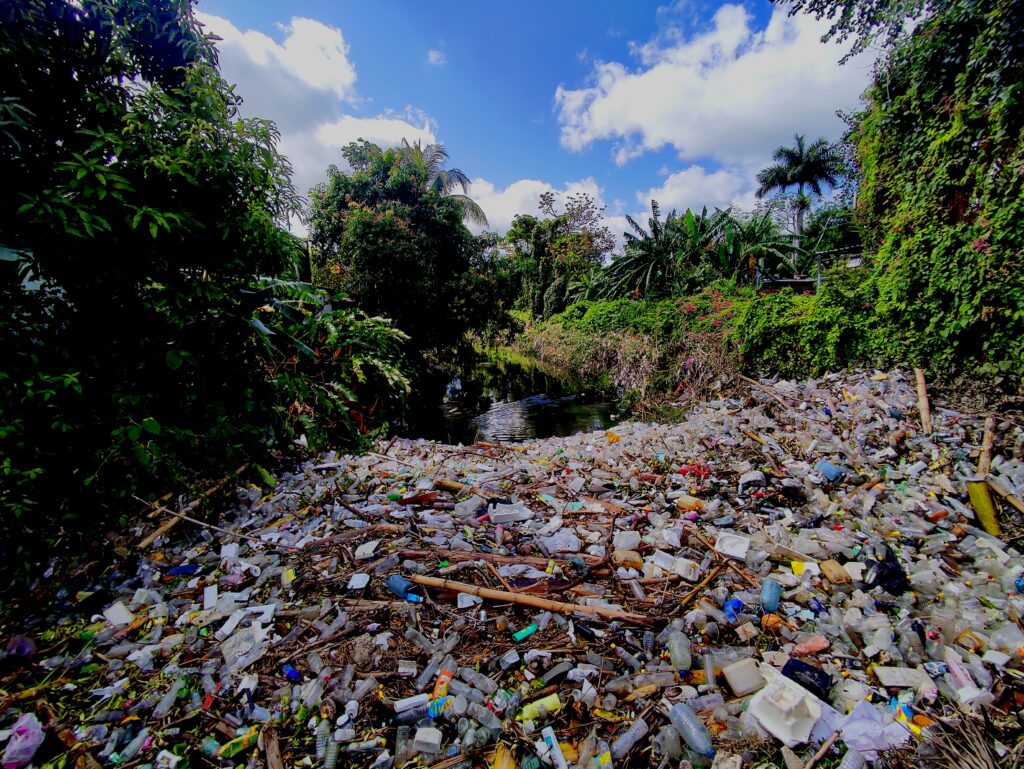 basura en La Habana 2