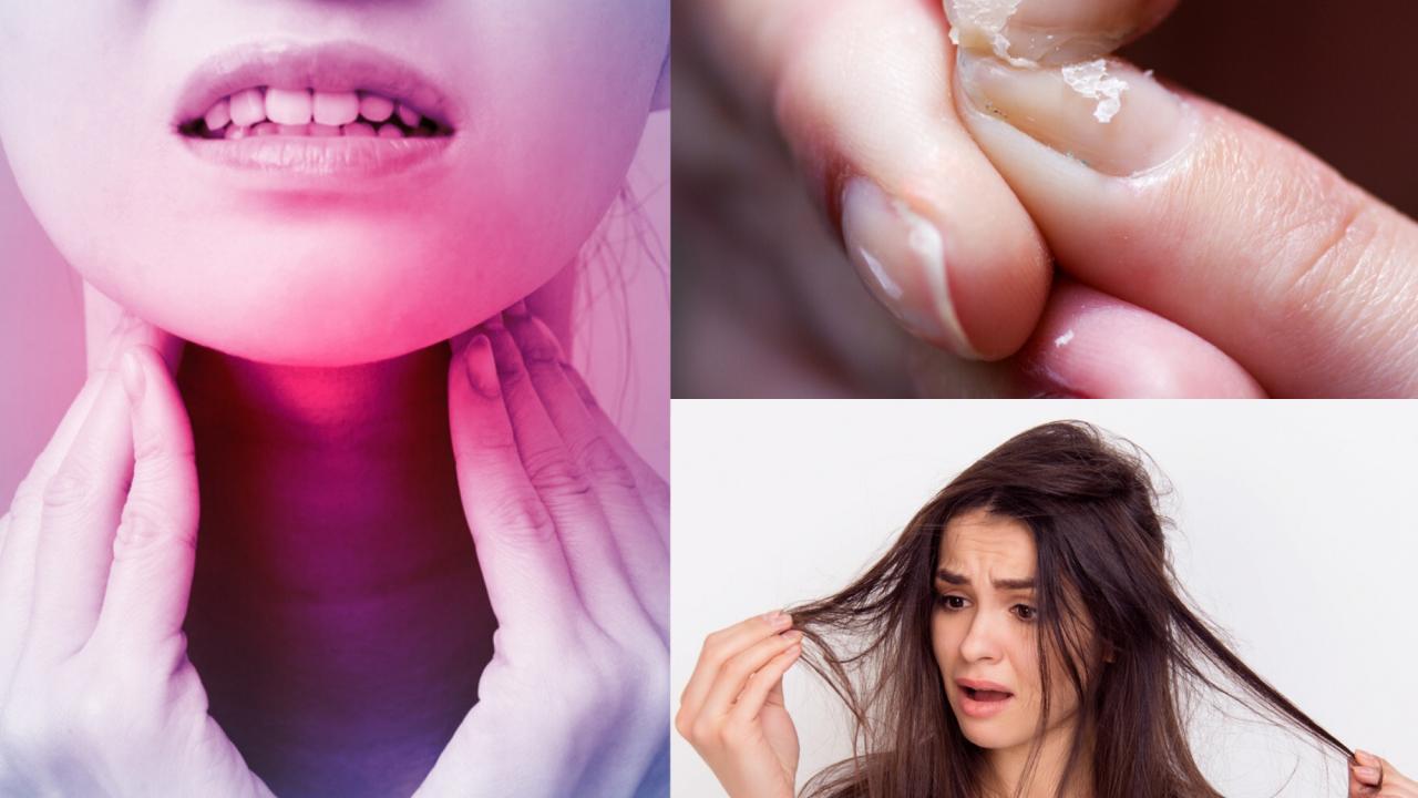 Evita que tu pelo y uñas se caigan con facilidad, cuidando de manera correcta de tu sistema endocrino.